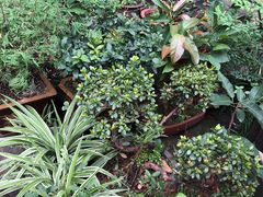 -三峡古玩城(泰古广场店)