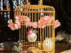 -杨记隆府(重庆总店)
