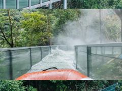 -龙湾潭国家森林公园