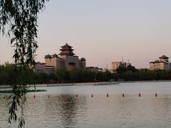 -莲花池公园