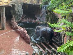 -长鹿旅游休博园