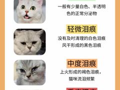 -纳吉亚猫专科动物诊疗中心(蒋宅口分院)