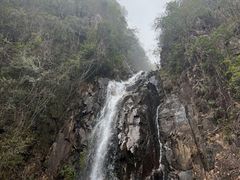 -姑婆山旅游区