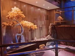 -慢享生活·汤泉SPA(同安城南店)
