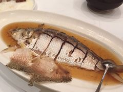 陈年花雕蒸鲥鱼-福1088