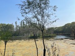 -东郊湿地公园