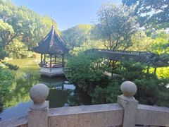 -上海醉白池公园