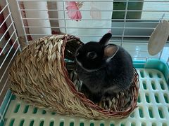 -龙猫仔乐园(惠福东路店)