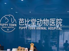 -芭比堂动物医院·CT·微创中心(新顺分院)