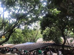 -满記土窑烧鷄波浪山莊