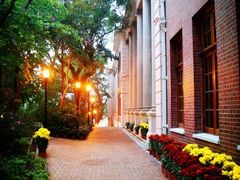 -香港大学