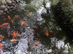 -成都杜甫草堂博物馆