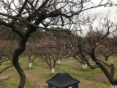 -白马涧龙池景区