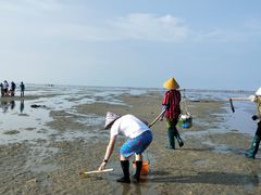 -北海金海湾红树林生态旅游区
