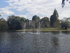 -绿荫坊餐厅(共青森林公园店)