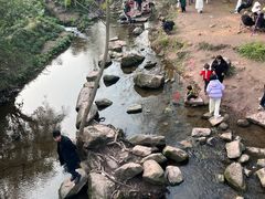 -重庆彩云湖湿地公园
