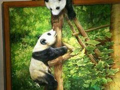 -成都泰迪熊博物馆