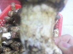 -南渝食府.墨脱石锅松茸鸡