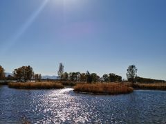 -野鸭湖国家湿地公园