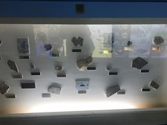 -上海昆虫博物馆