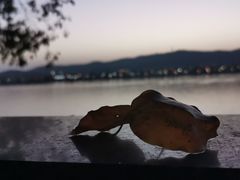 -杜甫江阁
