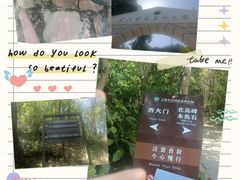 -上海佘山国家森林公园西佘山园