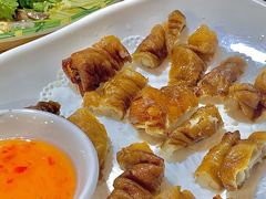 -东鸽皇(奥园·中环广场店)