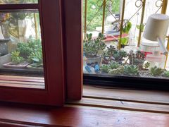 -春风十里咖啡馆