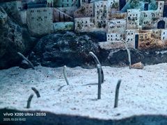 -暹罗海洋世界