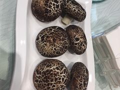 -金蝉食府(维吉奥广场店)