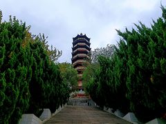 -岳阳市博物馆