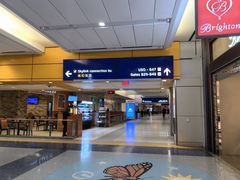 -达拉斯 沃斯堡国际机场