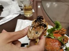 -呼吸森林·生态农庄农家乐私房菜