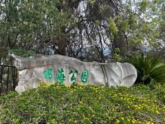 -西昌邛海湿地