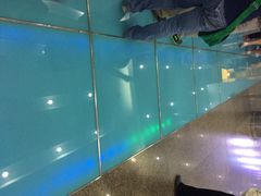 辽宁广播电视塔-辽宁电视塔