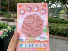 -红梅公园