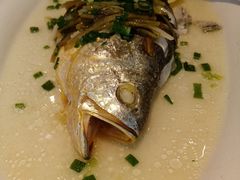 -老洋房花园饭店(绍兴路店)