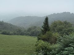 -敬亭山风景名胜区