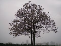 -汉长安城未央宫国家考古遗址公园