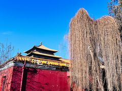 -北京市劳动人民文化宫