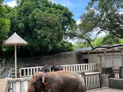-深圳野生动物园