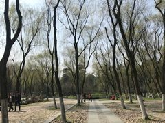 -柳浪闻莺公园