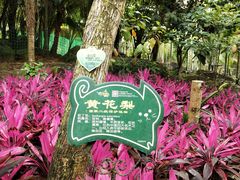 -呀诺达热带雨林