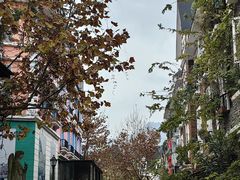 -四川省成都市彭州市白鹿镇