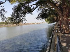 -大湾区中央湿地公园