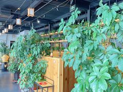 -桃源村铁锅炖鱼(体育馆道店)