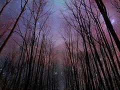 -锦江之星(淮安万达广场健康东路店)