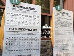 -白洋淀景区