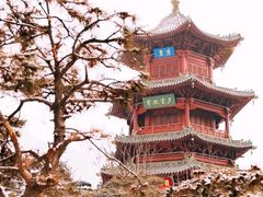 -迎泽公园