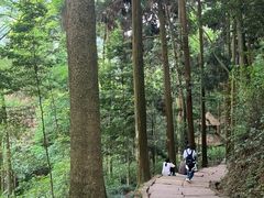 -青城山